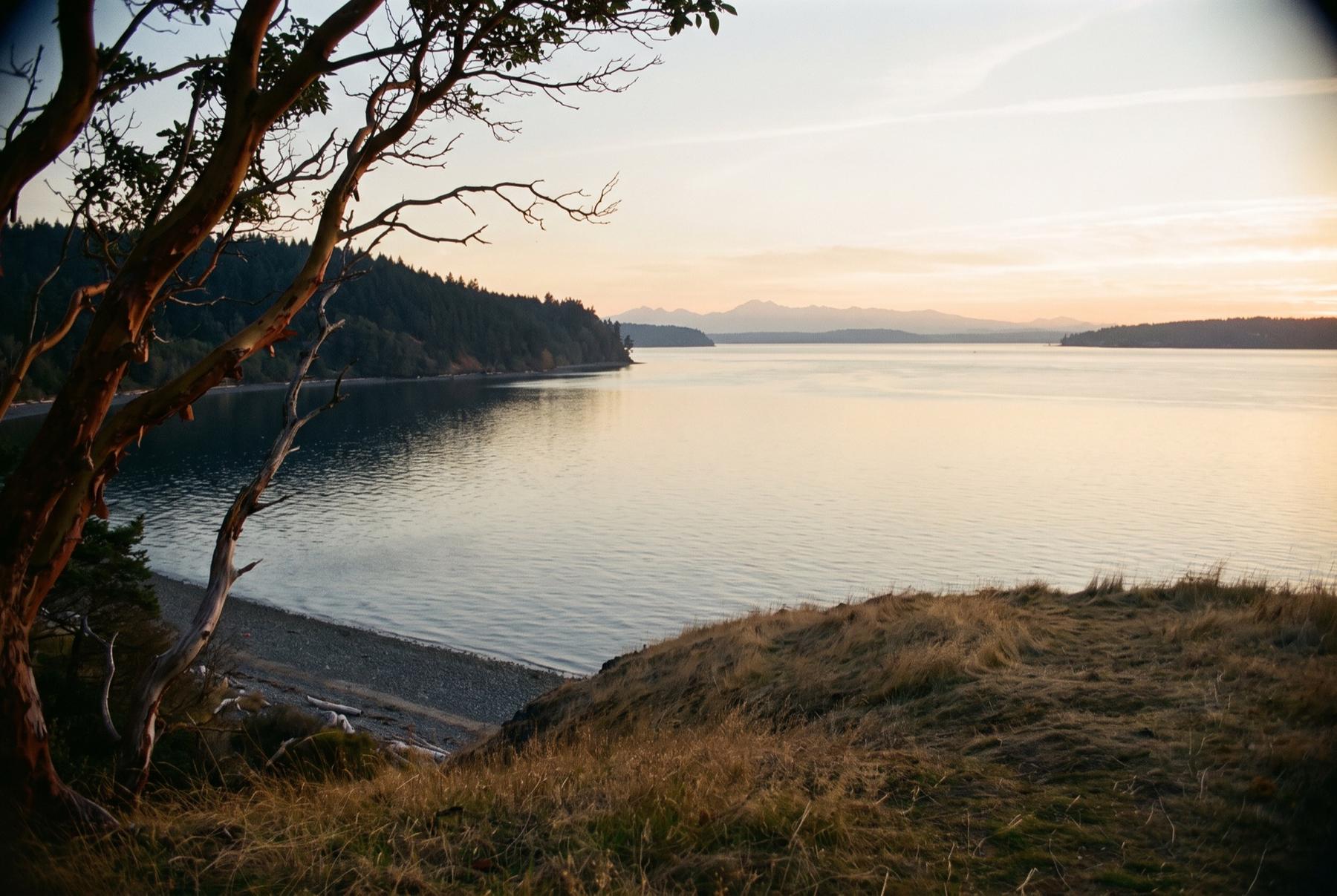 Golden-hour view from a grassy bluff across calm Puget Sound toward the forested Gig Harbor peninsula, with the Olympic Mountains faint on the horizon